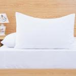 Pillow Case White - [50 x 75 cm] (1 Pack)